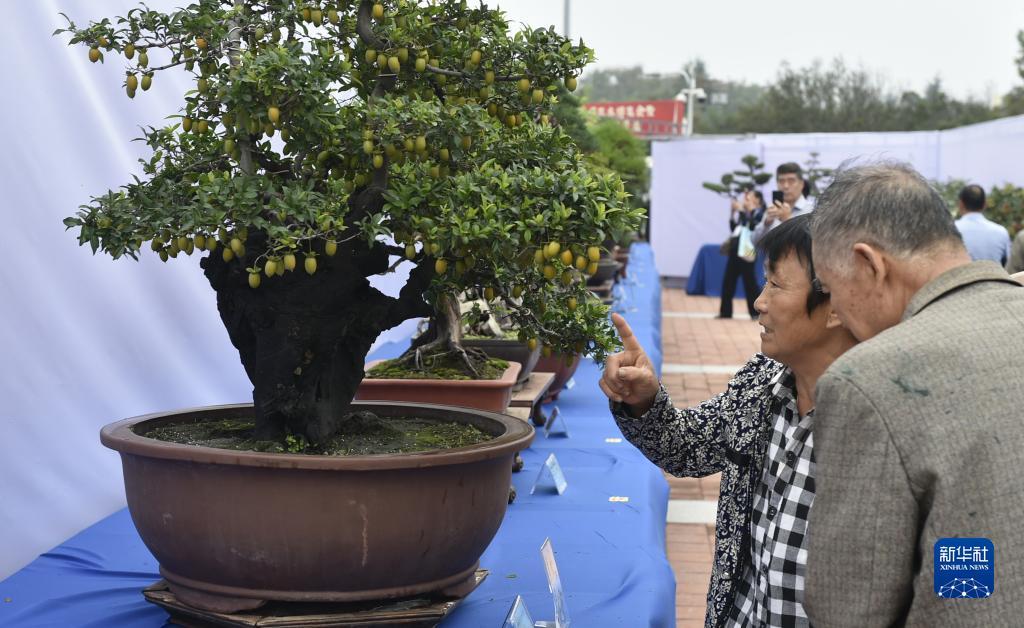 手机版玛丽水果机5个7